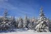 Early winter wonderland on the Arrowhead Trail by Travis Novitsky